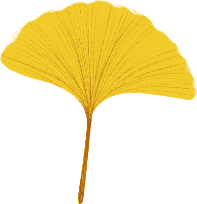 开云官网-湘超岳阳 | 袁剑出任2026赛季湘超岳阳队主教练